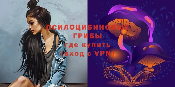 не бодяженный Тобольск