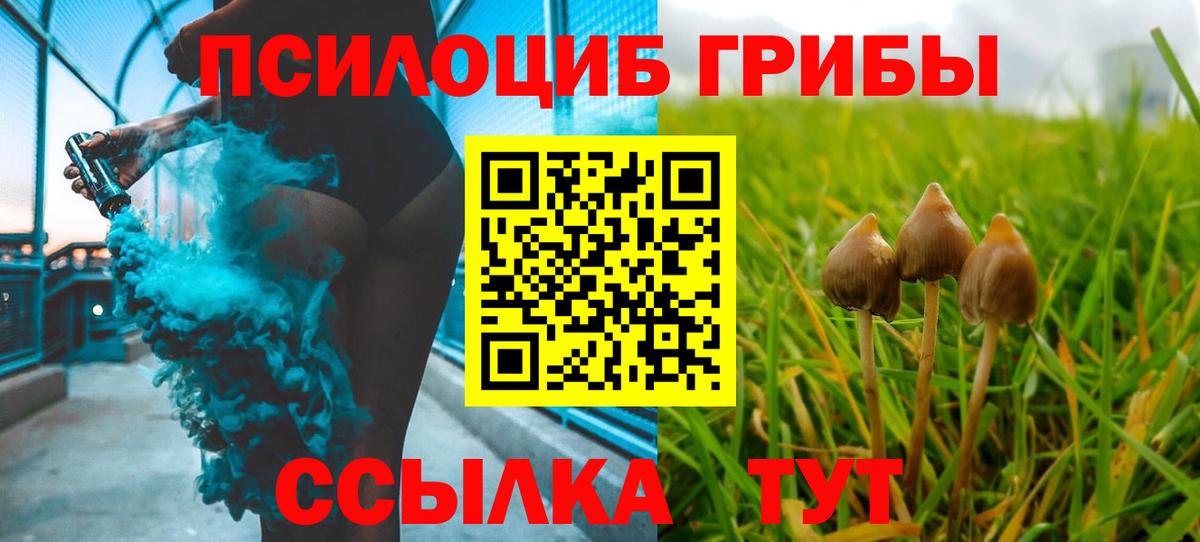 Псилоцибиновые грибы прущие грибы Усть-Лабинск